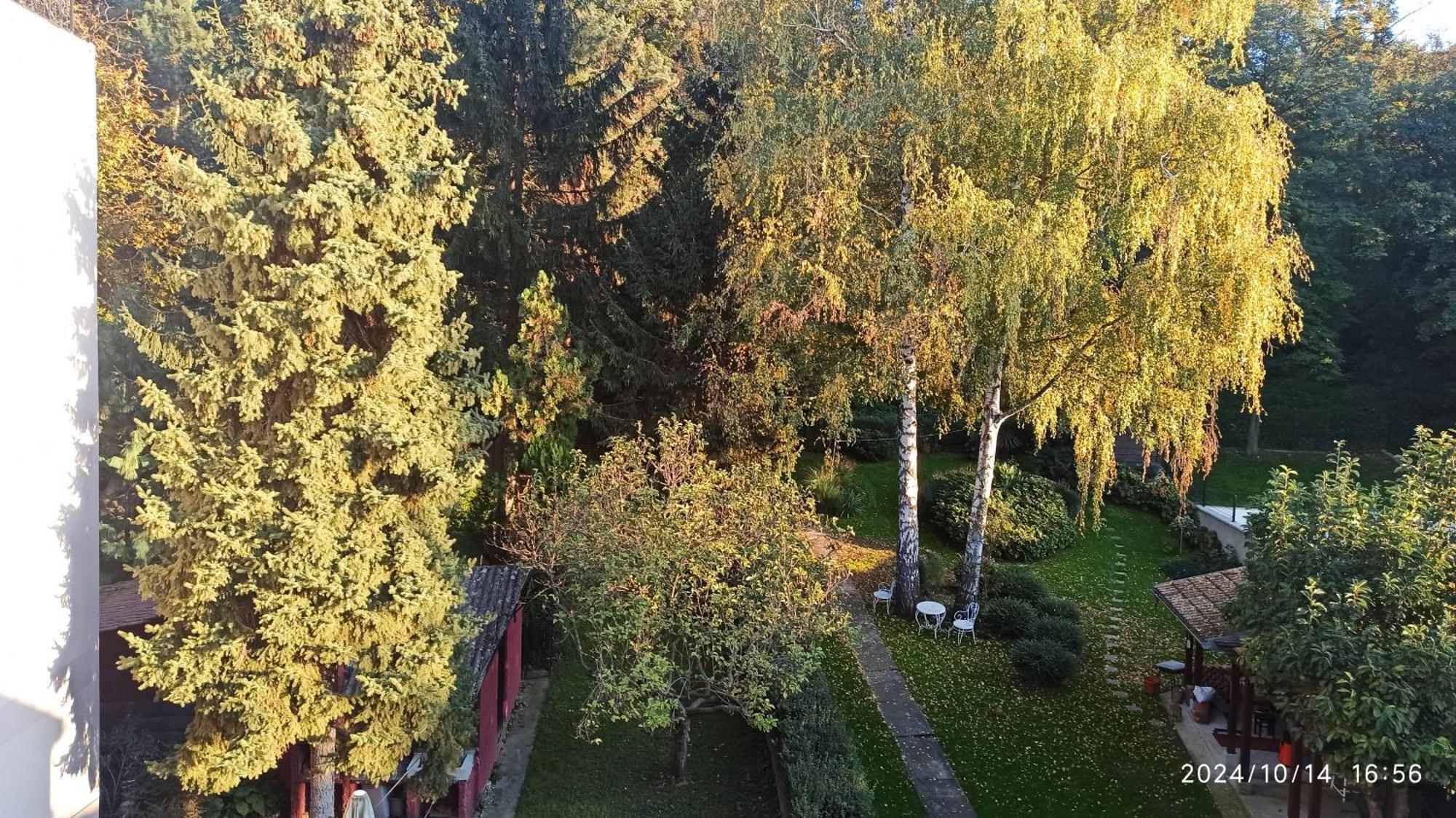 Apartman Oaza Olja Belgrade Extérieur photo