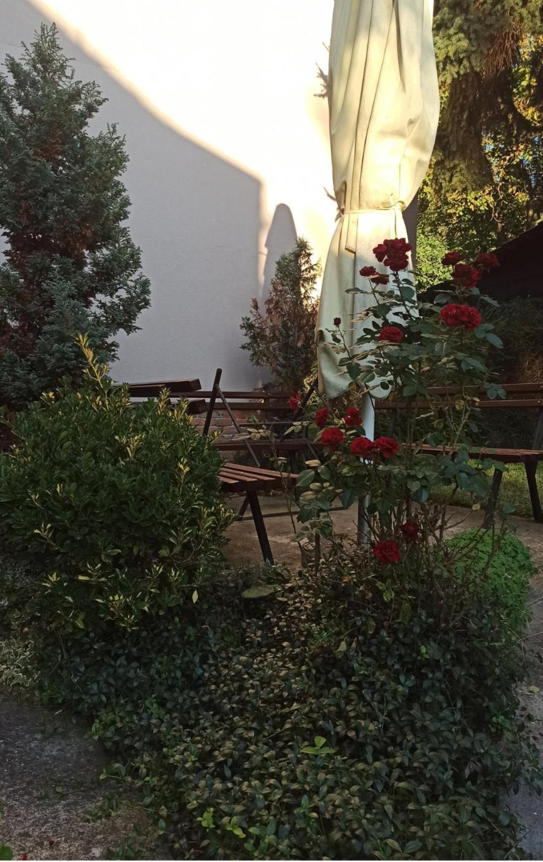 Apartman Oaza Olja Belgrade Extérieur photo